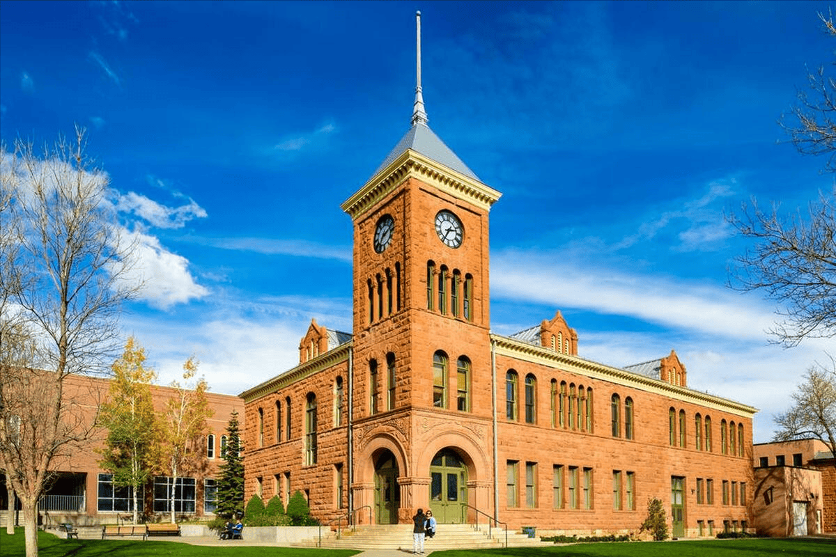 明尼苏达大学双城分校